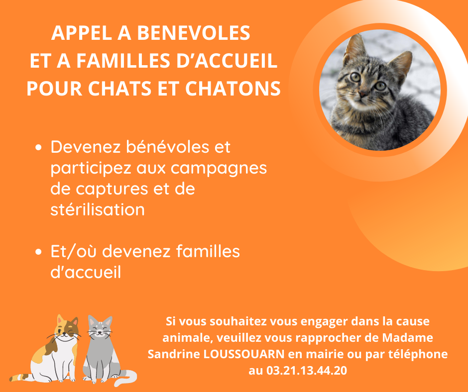 Campagne_des_chats_errants.png