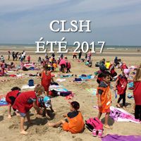 Couverture Clsh2017